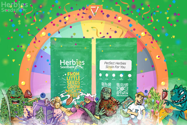 herbies quiz what herbies strain is right for you