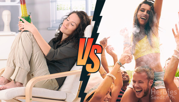 High vs Stoned: Is There Really a Difference? - RQS Blog