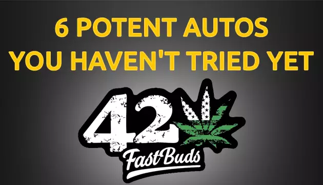 6 New Sweet Autos from FastBuds