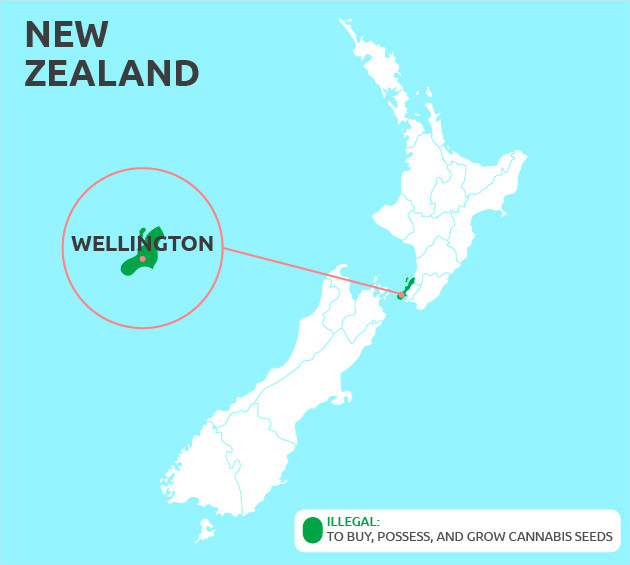 Can You Grow Cannabis in Wellington