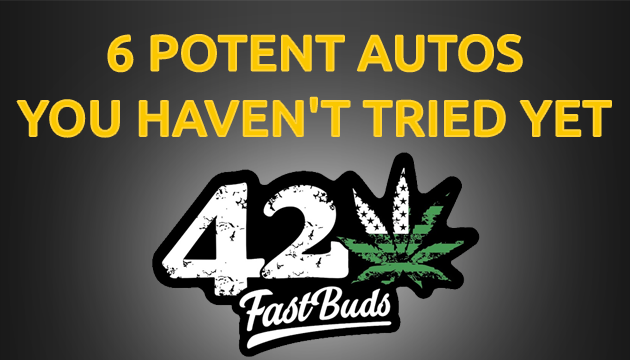 6 New Sweet Autos from FastBuds
