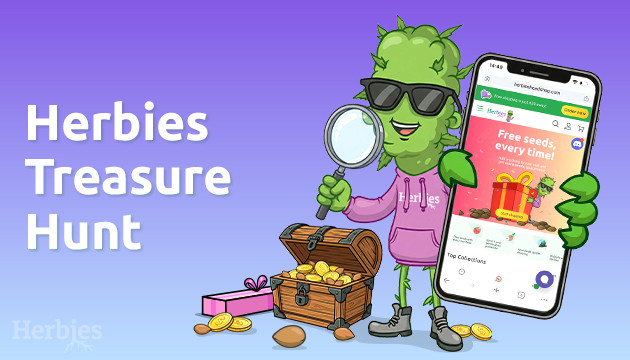 Herbies Treasure Hunt – The Internet Just Became Your Playground herbies treasure hunt