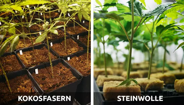 Verwendung von Düngemitteln für andere erdfreie Medien