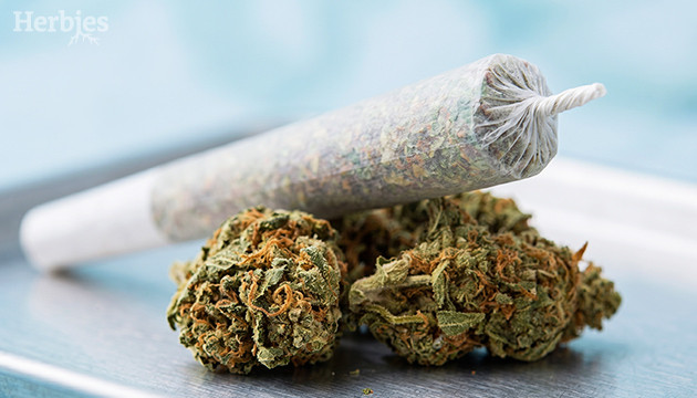 How to roll a joint how to roll weed