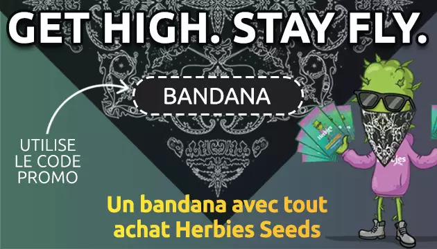 obtenez votre bandana gratuit avec tout achat de graines dherbies - Offre limitée !