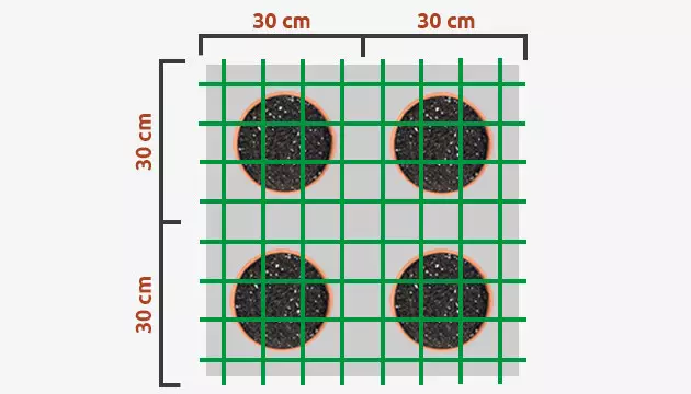 colocacion ideal de las plantas para el scrog