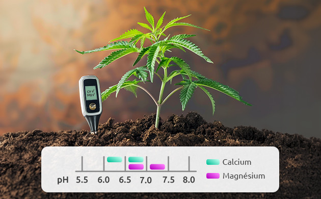 utilisation efficace du cal-mag dans le sol