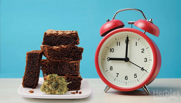 how long do edibles last