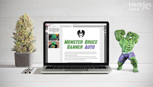 Rapporto sulla crescita di Monster Bruce Banner