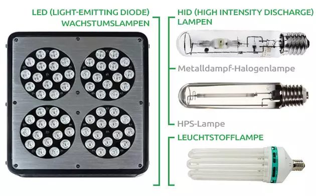Unkraut drinnen wachsen lassen