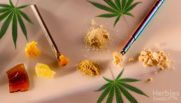 What Are Cannabis Concentrates And Extracts?