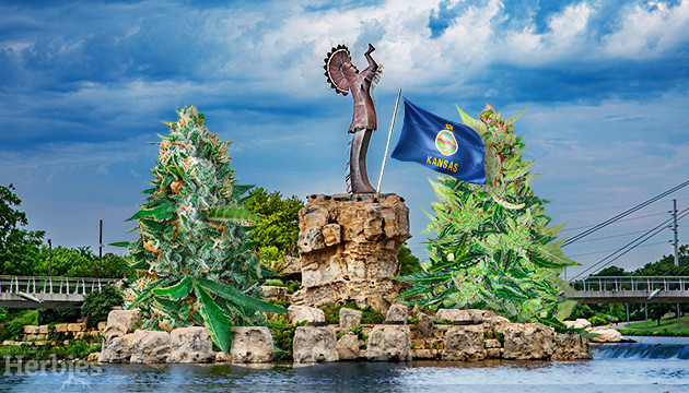 cannabis seeds in Kansas