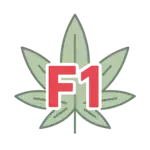 f1 hybrid cannabis seeds