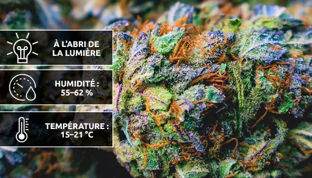 bien conserver son herbe sur le long terme