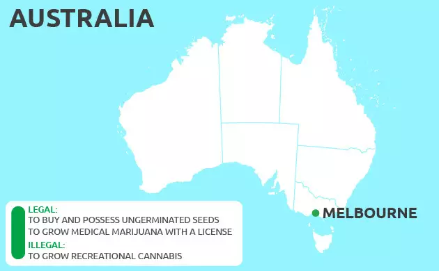 Can You Grow Cannabis in Melbourne