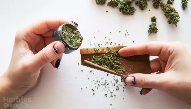 easy way to roll a blunt