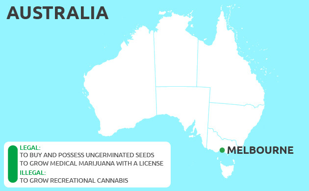 Can You Grow Cannabis in Melbourne