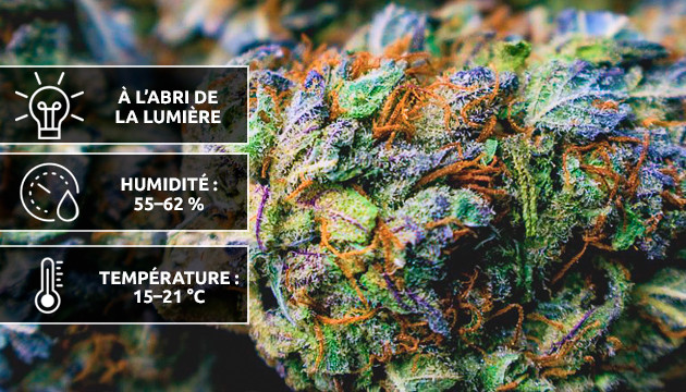 bien conserver son herbe sur le long terme