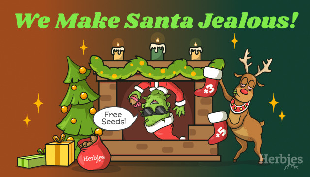 Christmas & New Year Bonuses at Herbies christmas & new year bonuses at herbies