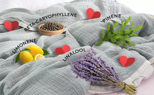 cannabis terpenes