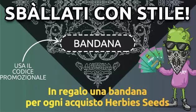 una bandana in omaggio con qualsiasi acquisto herbies seeds
