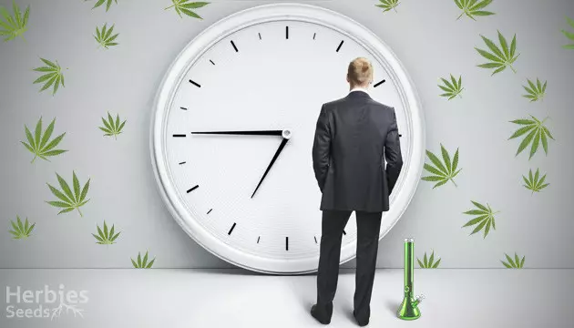 how long does a high last