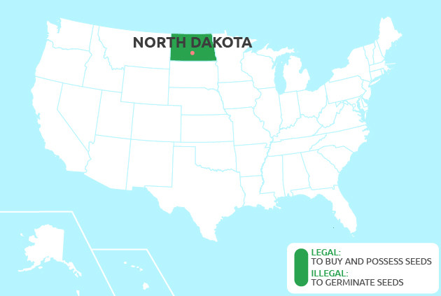 Can You Grow Cannabis in North Dakota?