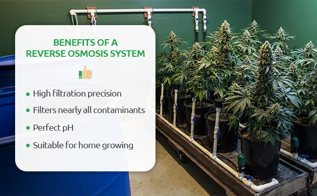 Is Reverse Osmosis Water Good for Plants?