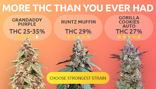 Choose the most potent strain