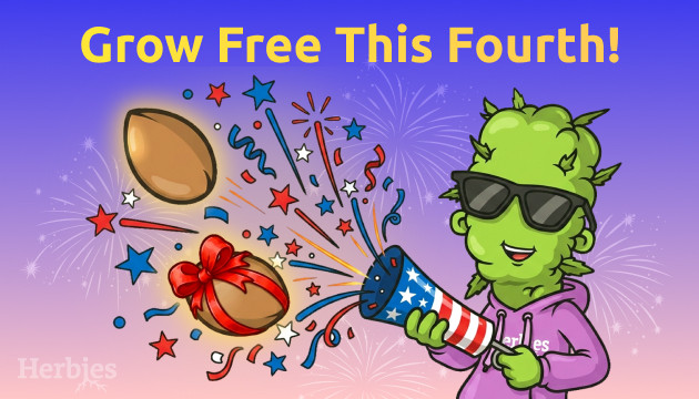 Let Freedom Grow - Every Second Pack From Our 4th of July Collection Is Free let freedom grow