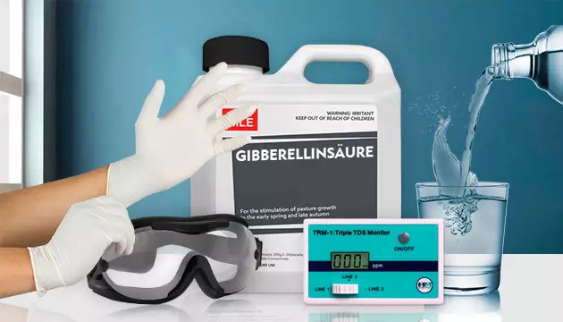 Marihuanasamen Feminisierung