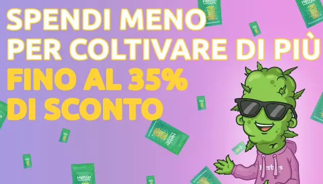 herbies seeds with a discount of up to 35%