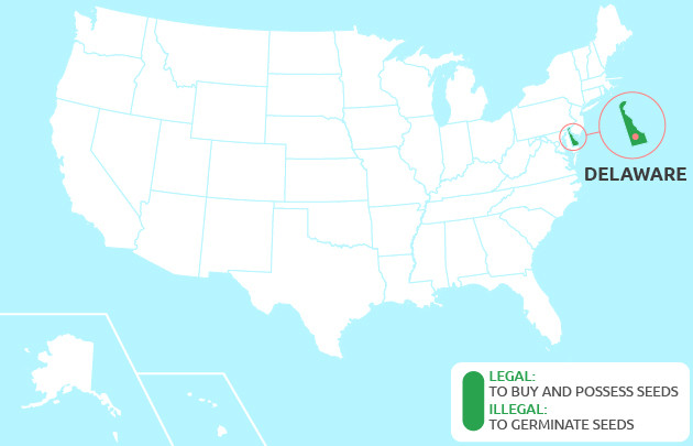 Can you Grow Cannabis in Delaware?