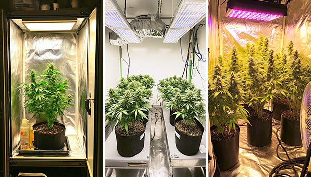 indoor grow equipment