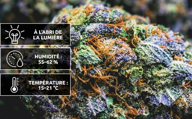 bien conserver son herbe sur le long terme