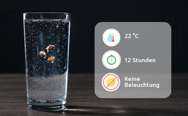 Einweichen einweichen