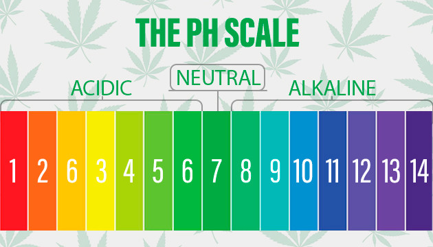 pH level for weed