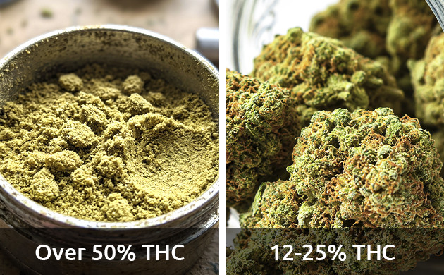Kief THC content is 50%. Or more. marijuana kief