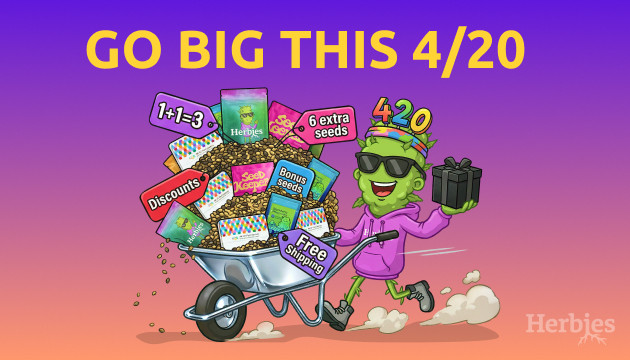 Go Big This 4/20: More Seeds, More Freebies, More Reasons to Stock Up go big this 4-20 - more seeds, more freebies, more reasons to stock up