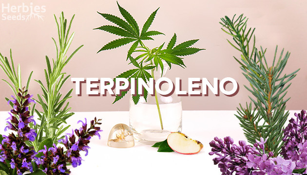 terpinoleno