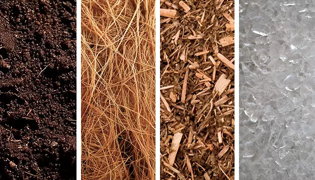 Prepare the soil how to find marijuana plants in the woods