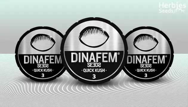 Dinafem Seeds seeds for sale