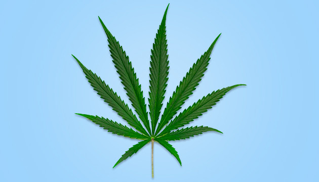 High vs Stoned: Is There Really a Difference? - RQS Blog