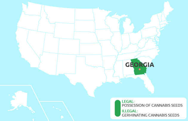 growing cannabis in Georgia