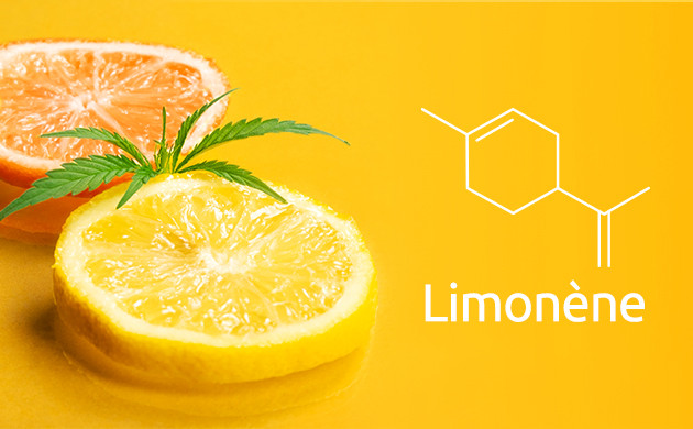 limonene : le stimulant energetique citronne