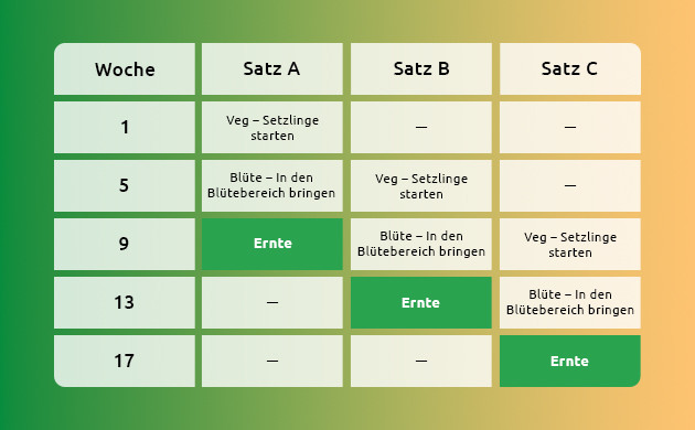 das prinzip der nie endenden ernte