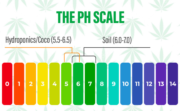 adjust the ph of the growing medium