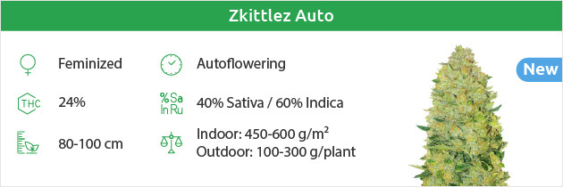 z auto free seeds