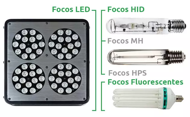 focos cultivo interior