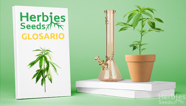 Nuestro Glosario de términos de cultivo es una herramienta útil que fue diseñada para ayudar a aquellos novatos en el cultivo de cannabis